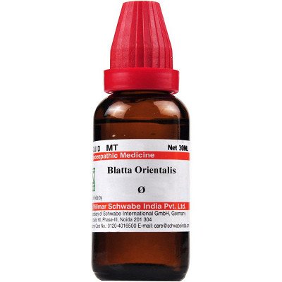 Willmar Schwabe India Blatta Orientalis  (Q) (30ml)