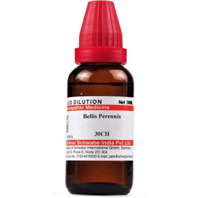 Willmar Schwabe India Bellis Perennis Q (30ml)