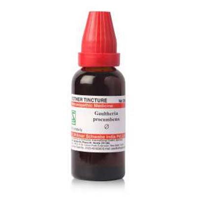 Willmar Schwabe India Gaultheria Procumbens Q (30ml)