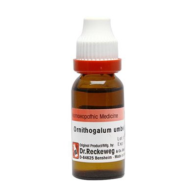 Dr. Reckeweg Ornithogalum Mother Tincture Q