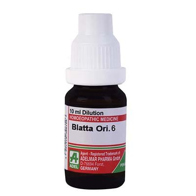 Adel Pekana Blatta Orientalis 6 (10ml)