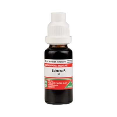 Adel Pekana  Epigaea Repens Q (20ml)