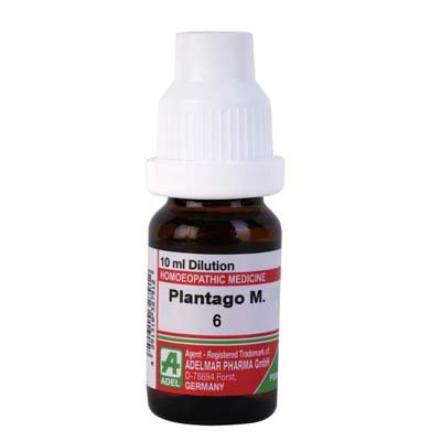 Adel Pekana Plantago Major 6 (10ml)