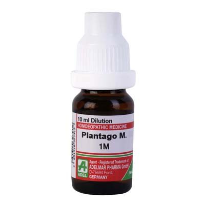 Adel Pekana Plantago Major 1M (10ml)