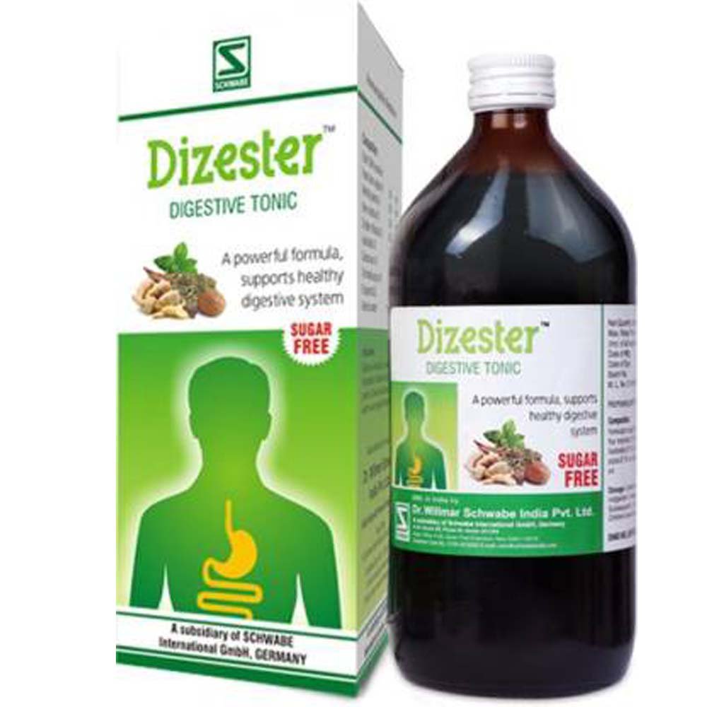 Willmar Schwabe India Dizester (500ml)